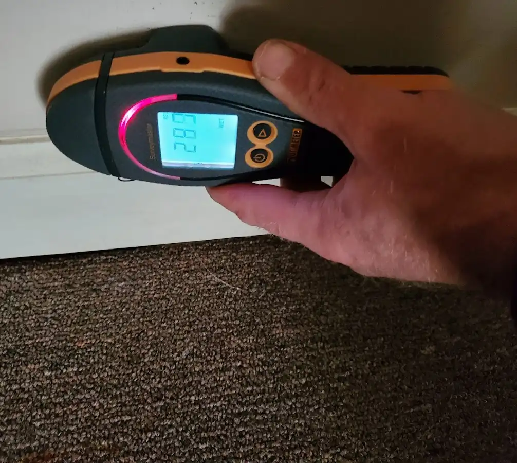 Moisture detection at baseboard during Burst Pipe Cleanup in Hampton